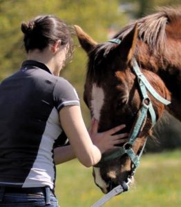 Ostéopathie /Saddlefitting / BitFitting, Kesako?