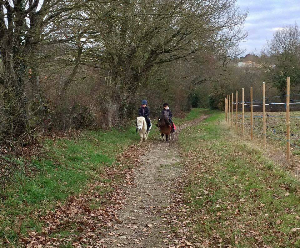 Balades à poney au Poiré sur vie