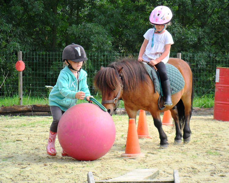 Pony Games au Poiré sur vie