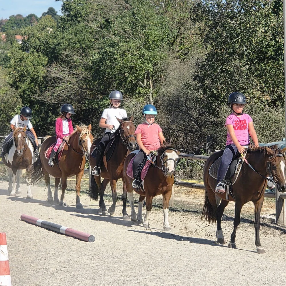 Ecole d'équitation en Vendée au Poney Club de la Vie